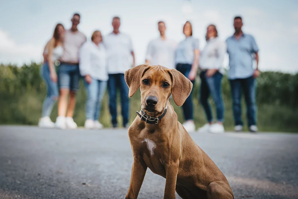 Familienfotos mit Hund in Deggendorf