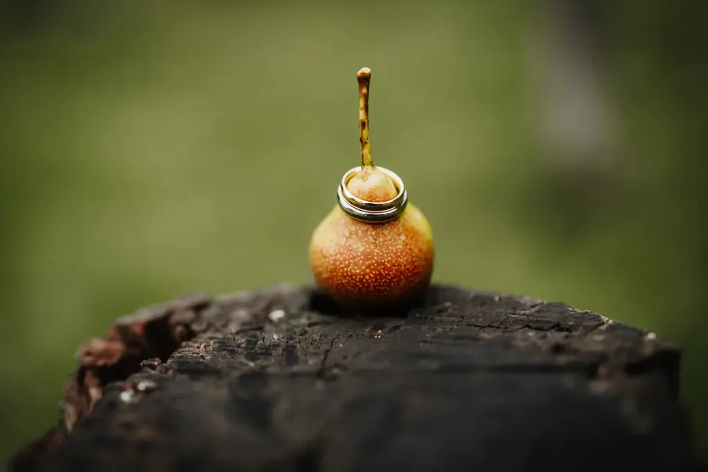 Hochzeit Grandsberger Hof Schwarzach Trauung Bogenberg Hochzeitsfotograf Straubing Hochzeitsfotos Deggendorf Hochzeitsfotos auf dem Bogenberg Hochzeitsfotos Grandsberger Hof