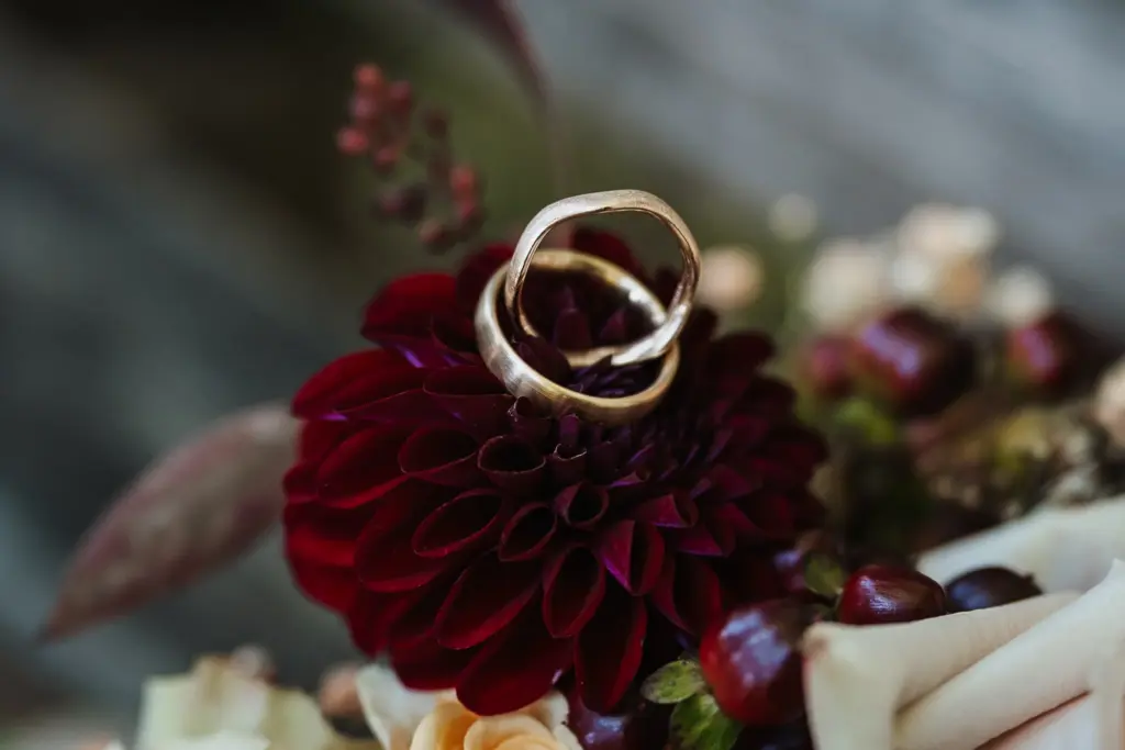 Herbsthochzeit Straubing, Hochzeitsfotos Straubing, Hochzeitsfotograf Straubing, Hochzeit Tonis Straubing, Brautpaarfotos in der Natur, strahlendes Brautpaar am Hochzeitstag, Heiraten in Niederbayern Oberpfalz, Heiraten in Deggendorf, Hochzeitstorte Straubing